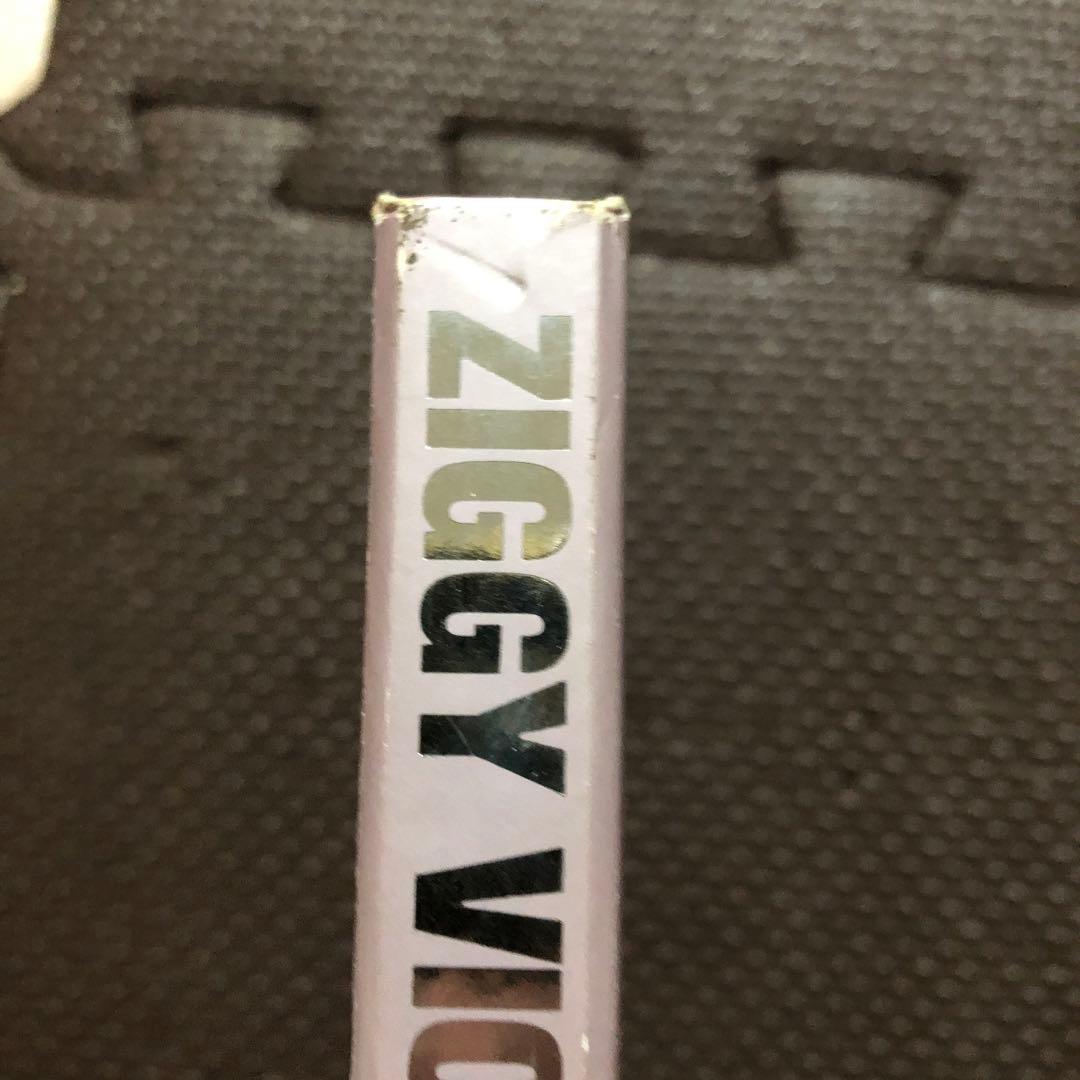 邦楽 ZIGGY VICISSITUDES OF FORTUNE