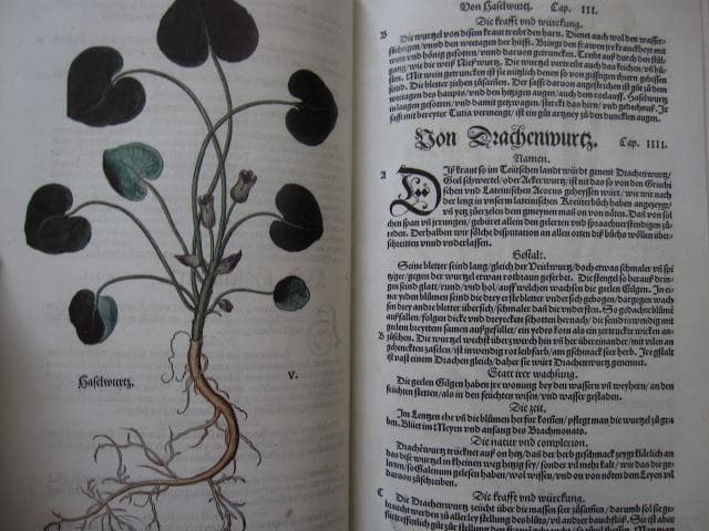 アート・デザイン・音楽 Leonhart Fuchs : The New Herbal of 1543