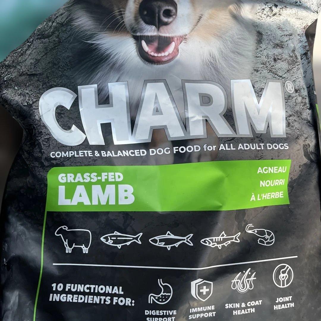 CHARM 草で育てたラム 10kg ドッグフード