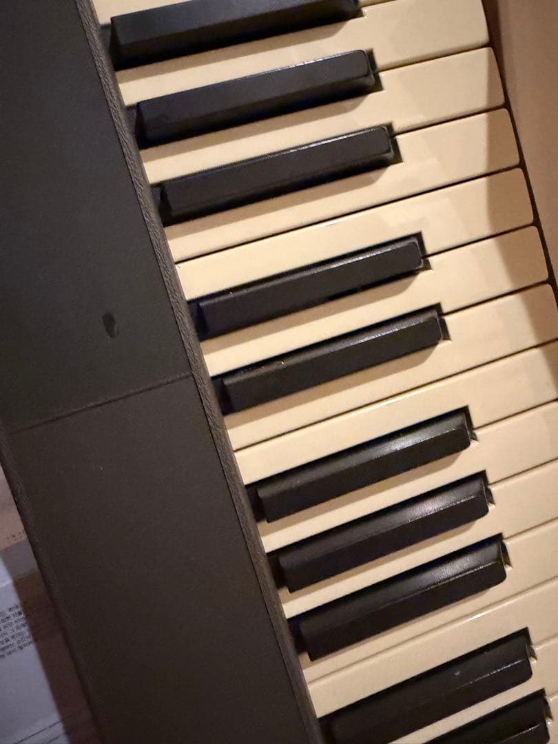 鍵盤楽器 studiologic numa compact se
