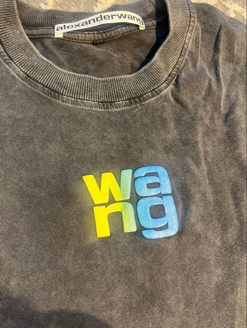 アレキサンダーワン　Alexander WangTシャツ