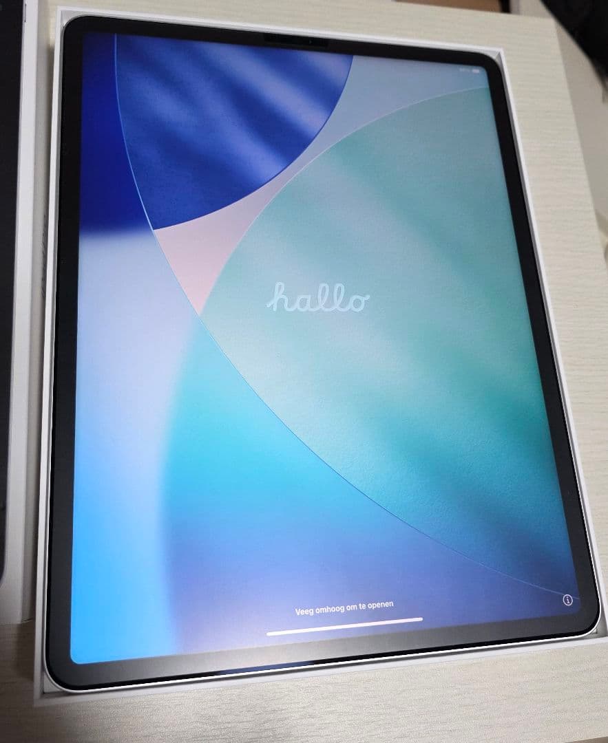 apple ipad pro 12.9 inch　第5世代