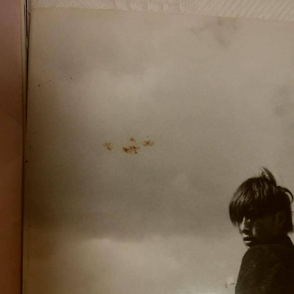 成宮寛貴写真集『rah rah』『Milk』の2冊セット