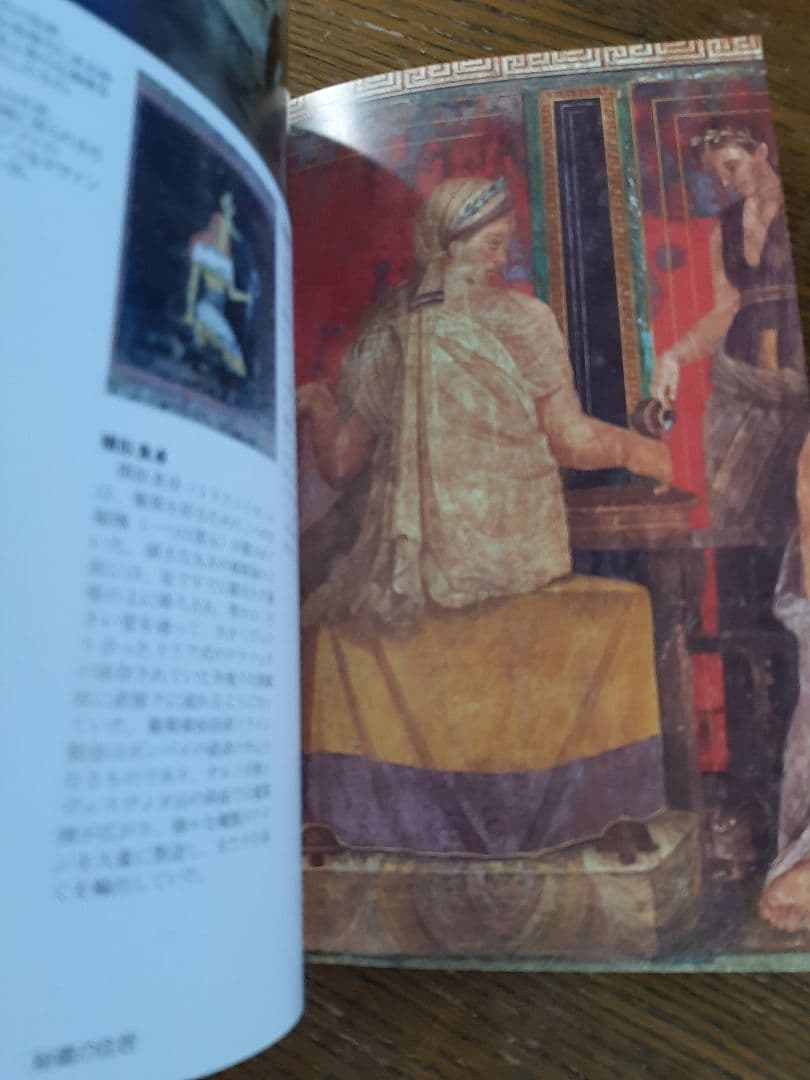 観光の現地で買って来たポンペイの遺跡の本２冊