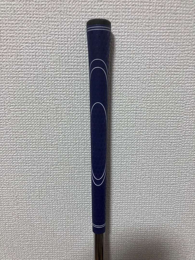 FURE LOOP フレループ Lynx スイング練習器　ブルー
