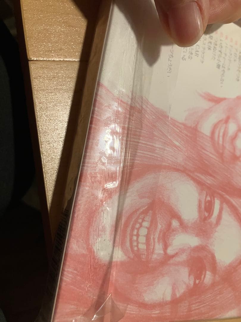 ゆらゆら帝国　DVD 2点セット
