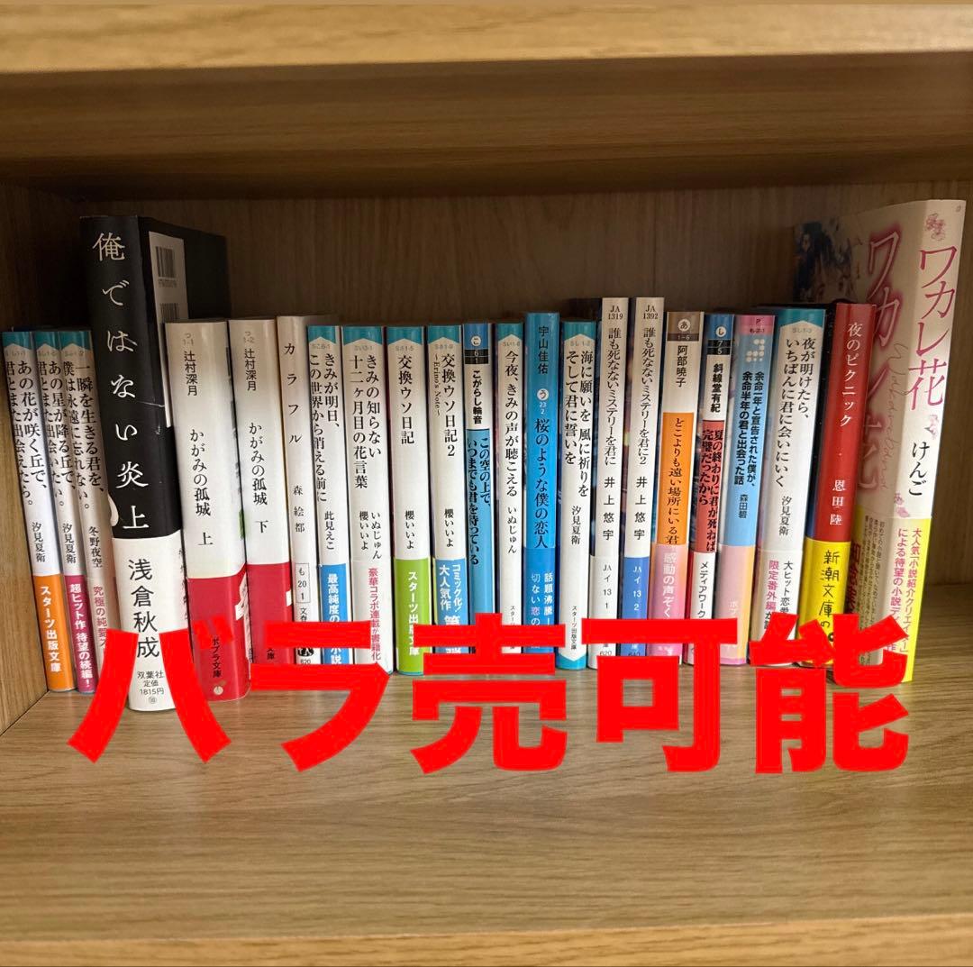 小説まとめ売りセット(バラ売可能)