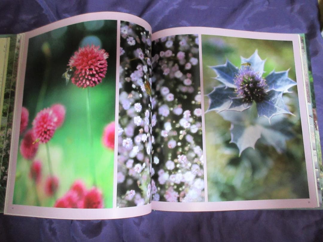 ベス　チャトーの庭の生活の年（　写真集　英語）