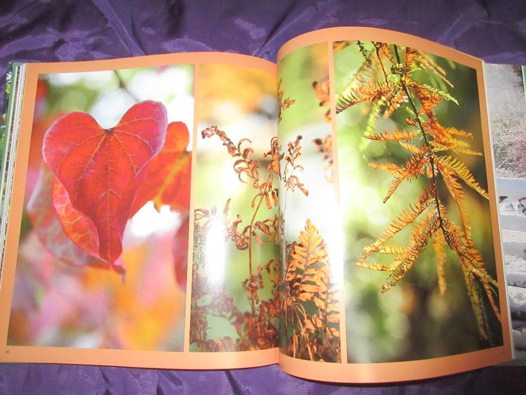 ベス　チャトーの庭の生活の年（　写真集　英語）