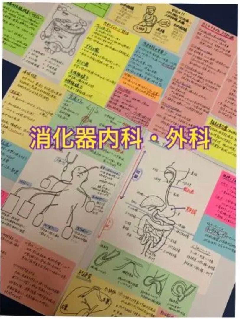 まとめ価格！看護師国家試験対策 付箋 暗記カード 解剖生理　付箋ノート