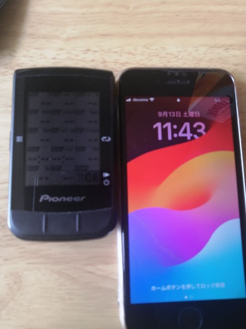 PIONEER sgx ca600 サイコン