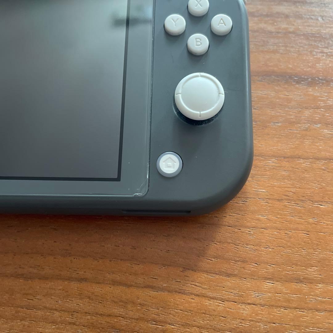 挨*x様 Nintendo Switch Lite グレー 本体