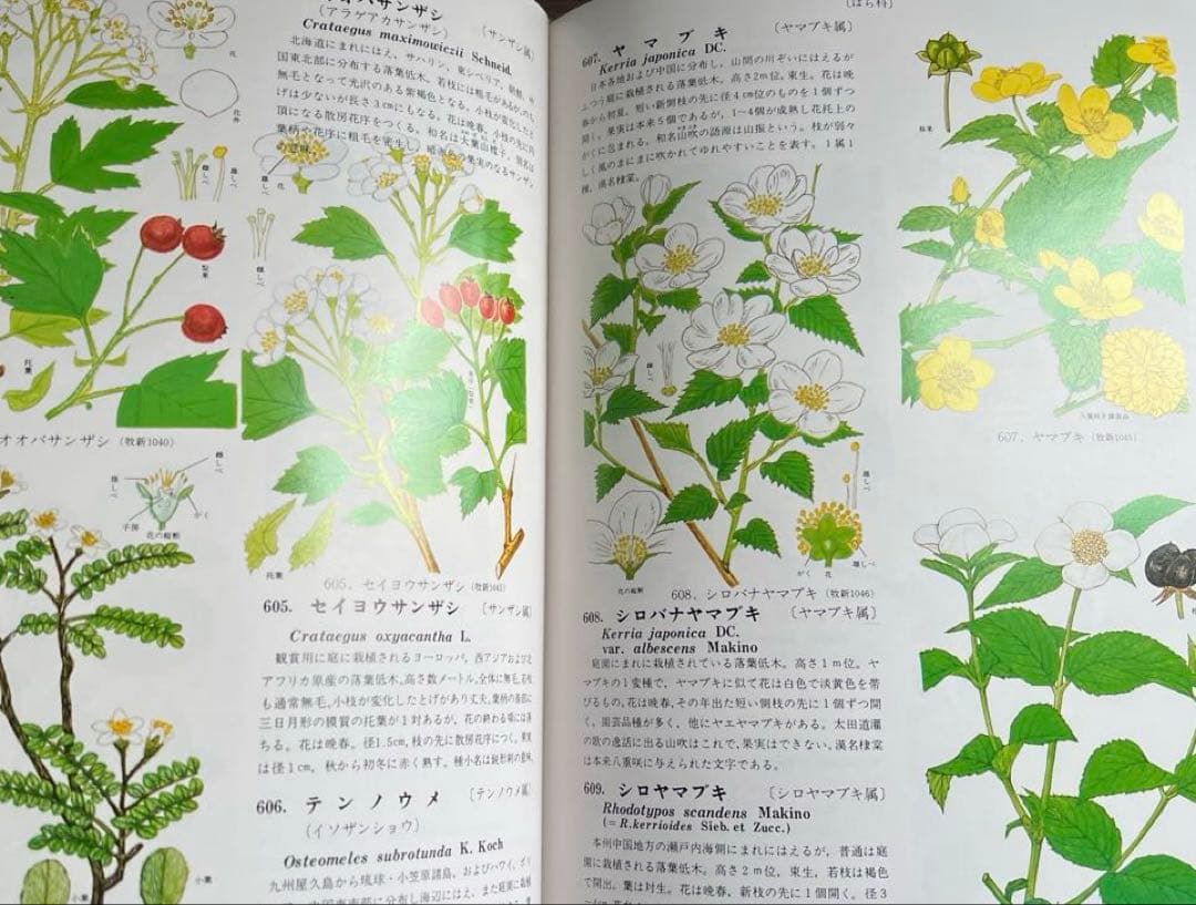 原色牧野植物大図鑑　牧野富太郎著