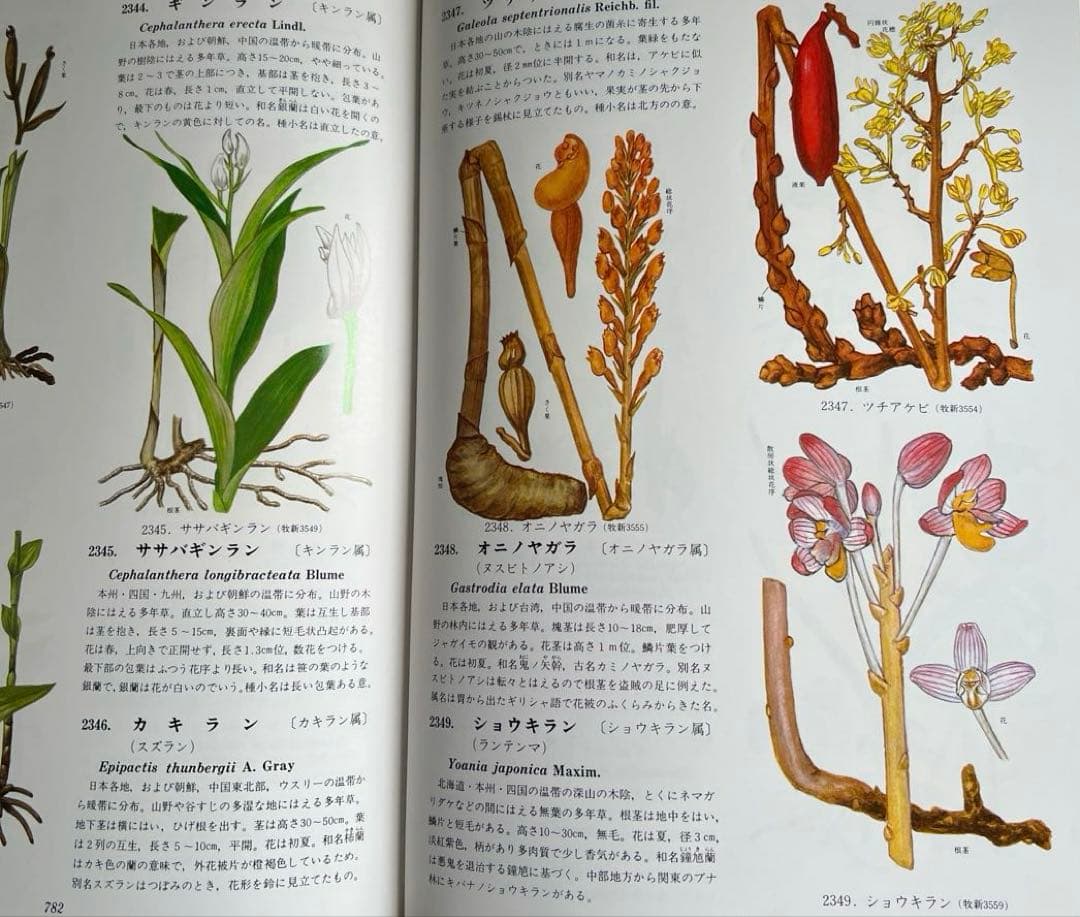 原色牧野植物大図鑑　牧野富太郎著
