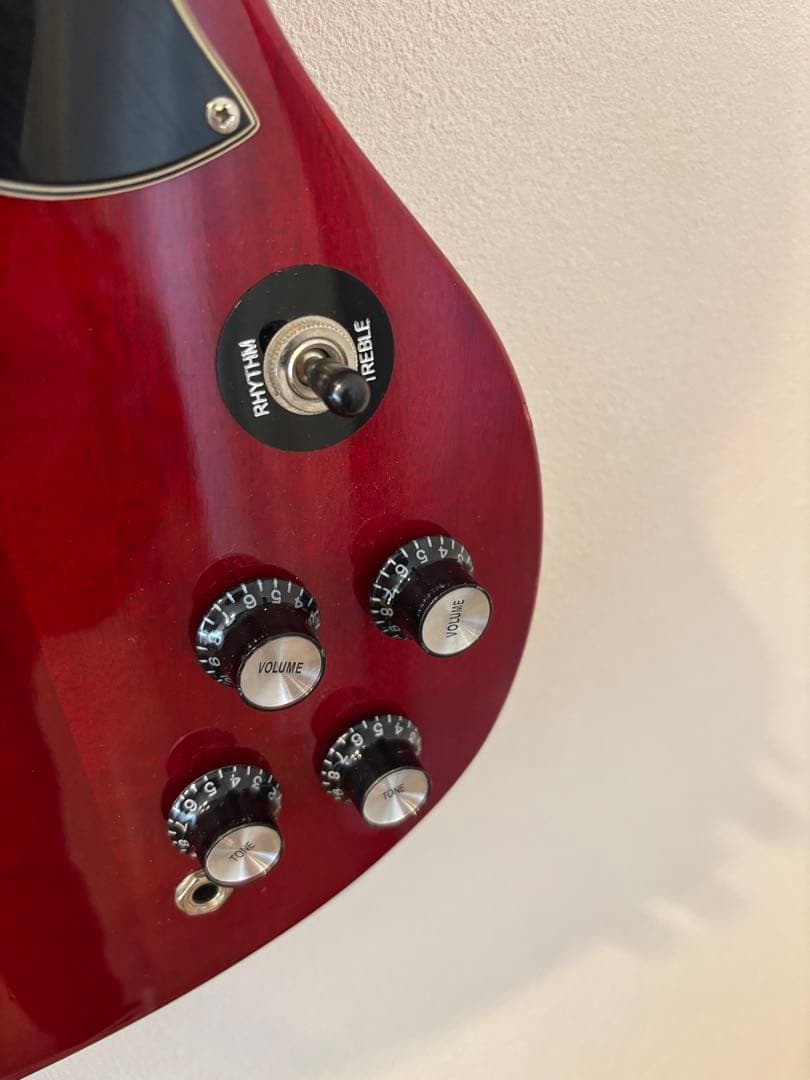 burny バーニー　SGモデル