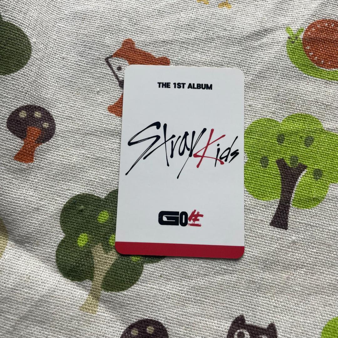 チャンビン Straykids スキズ go生 subk限定 トレカ店舗特典