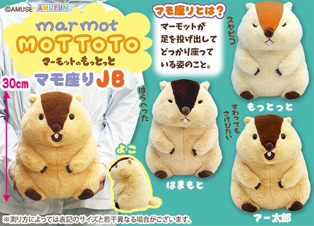 マーモットのもっとっと マモ座り JB もっとっと　はまもと アー太郎