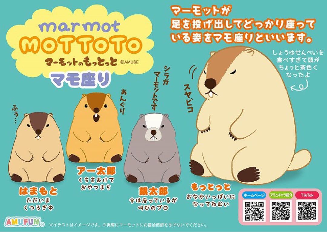 マーモットのもっとっと マモ座り JB もっとっと　はまもと アー太郎