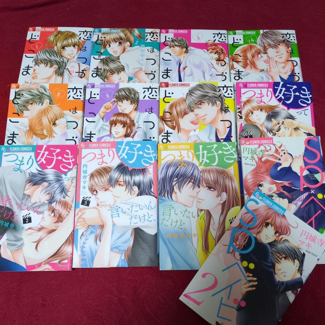人気少女漫画　まとめ売り　円城寺マキ　浅野あや　潮見知佳　実写ドラマ化