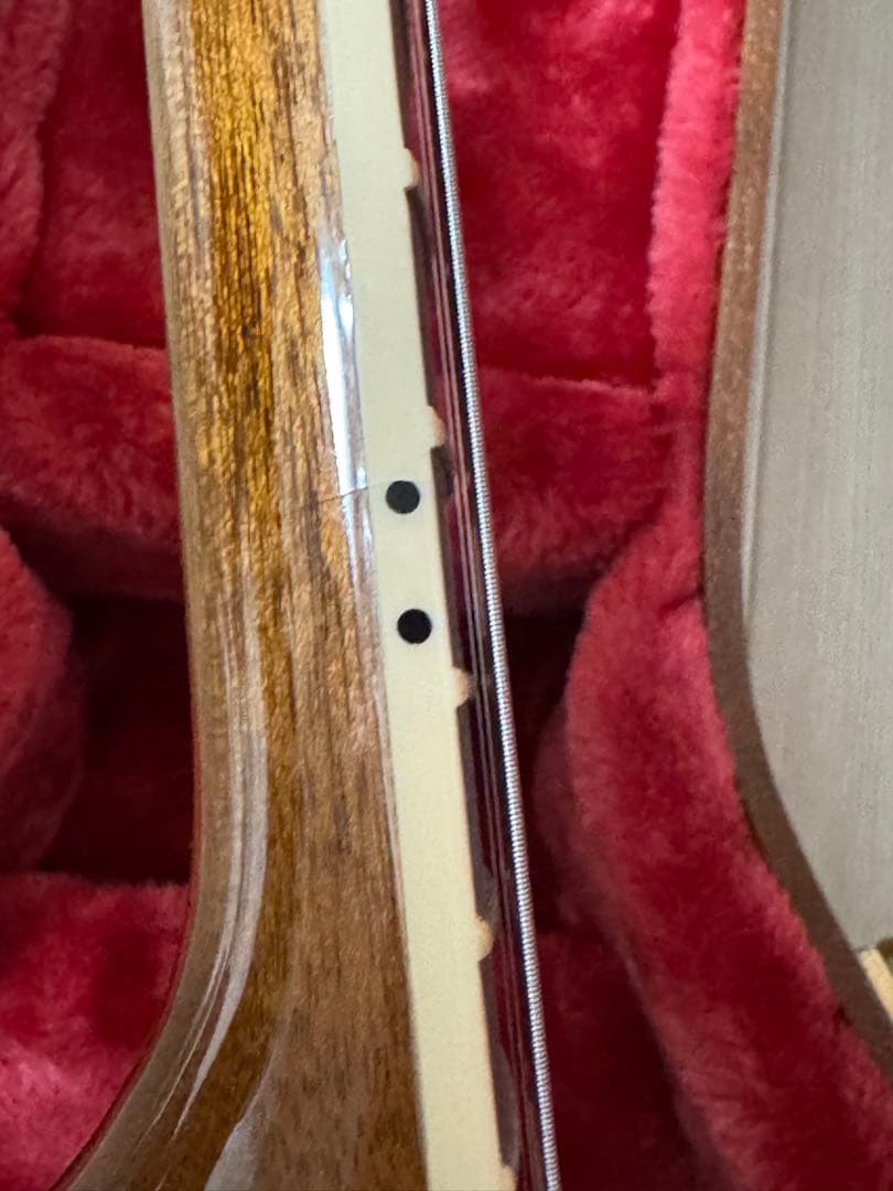 Gibson Les Paul Standard ‘60 “AAA Top”
