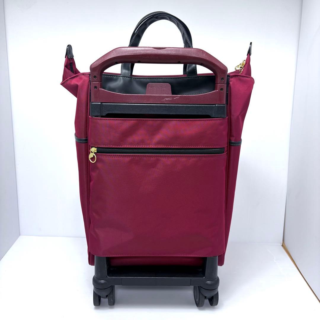 美品✨ ACE soelte ソエルテ アルディート 20Lキャリーバッグ