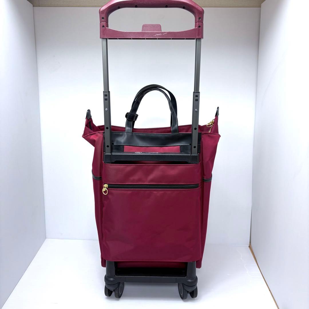 美品✨ ACE soelte ソエルテ アルディート 20Lキャリーバッグ