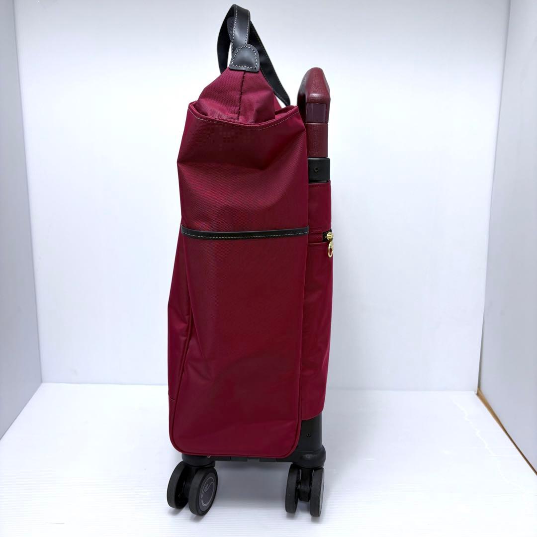 美品✨ ACE soelte ソエルテ アルディート 20Lキャリーバッグ