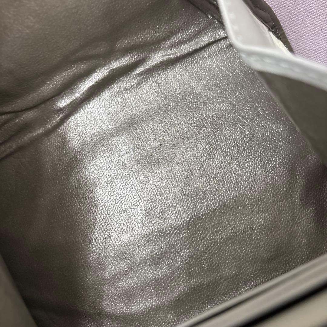 Hiroko Hayashi マルチ財布 パイソン柄