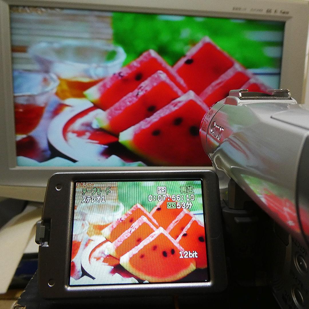 キャノン DM-FV M200 動作良好 MiniDVビデオ DVDダビングに