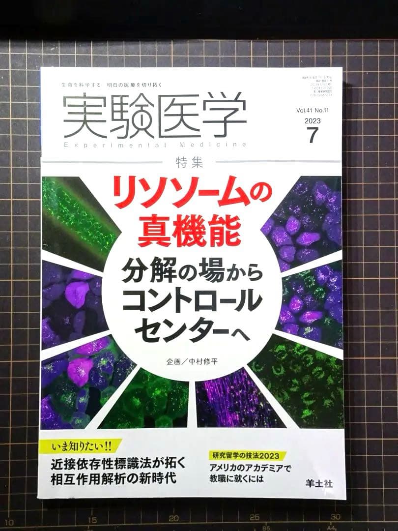 実験医学 2023年 月刊号 全12冊セット 羊土社