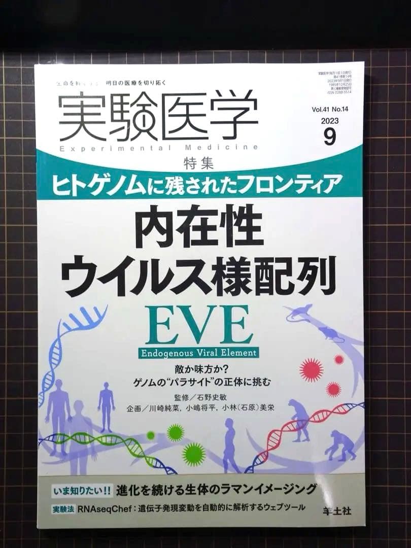 実験医学 2023年 月刊号 全12冊セット 羊土社