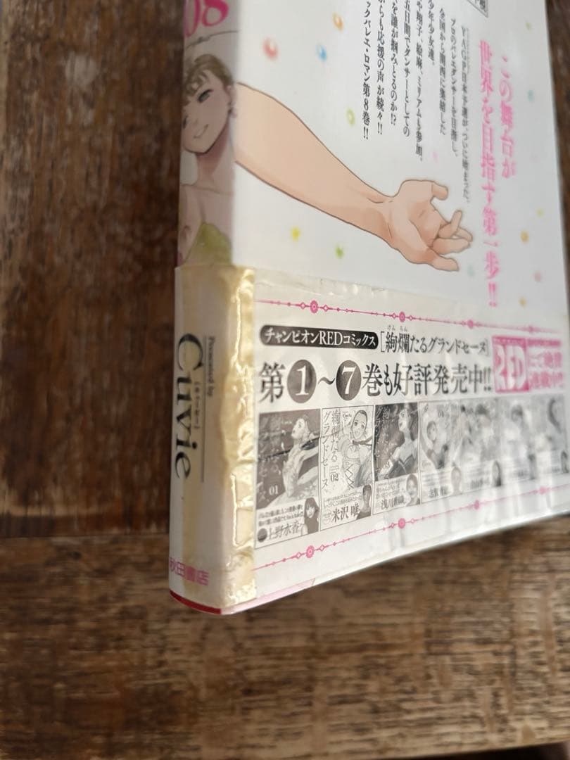 絢爛たるグランドセーヌ19巻セット