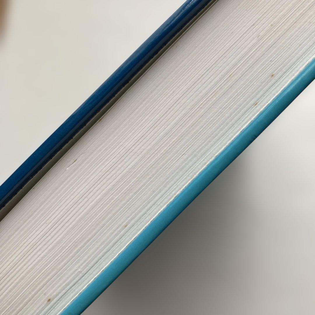語学・辞書・学習参考書 A Course in Metric Geometry