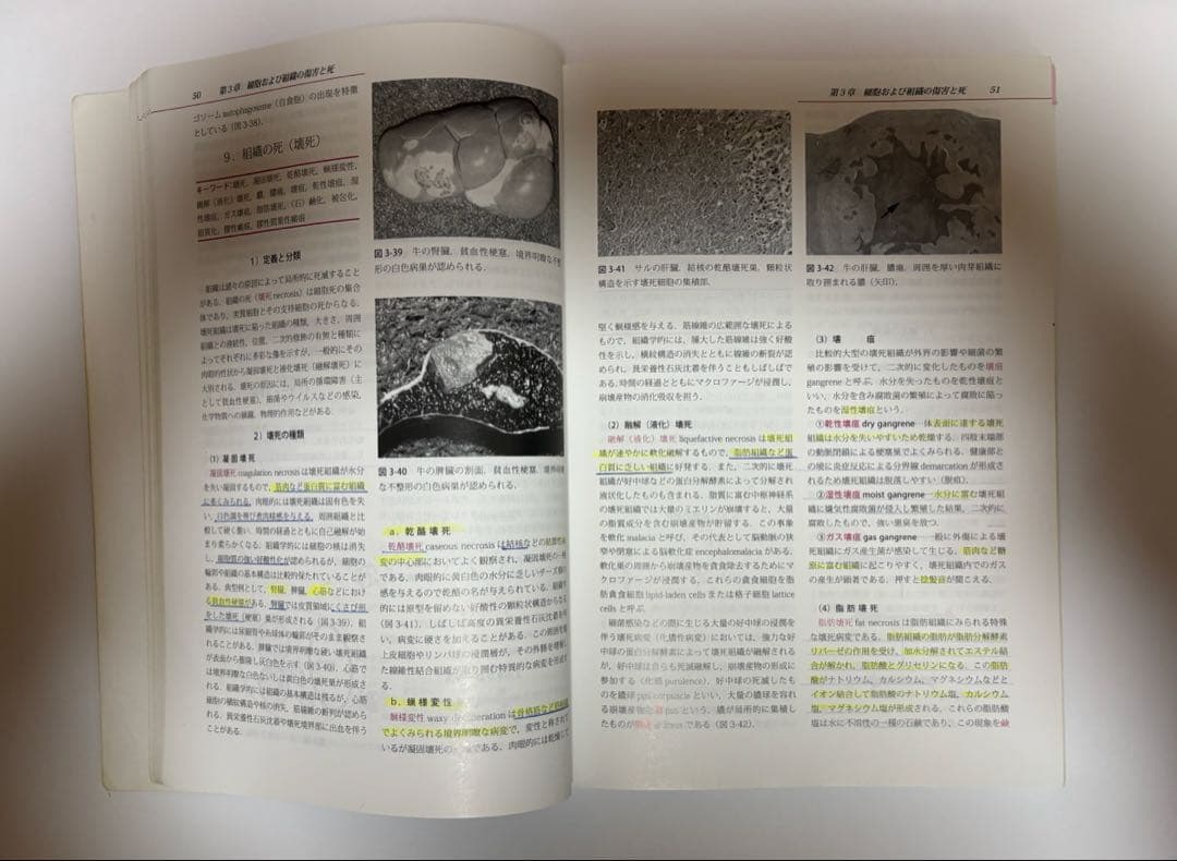 【2冊セット】動物病理学　総論　各論