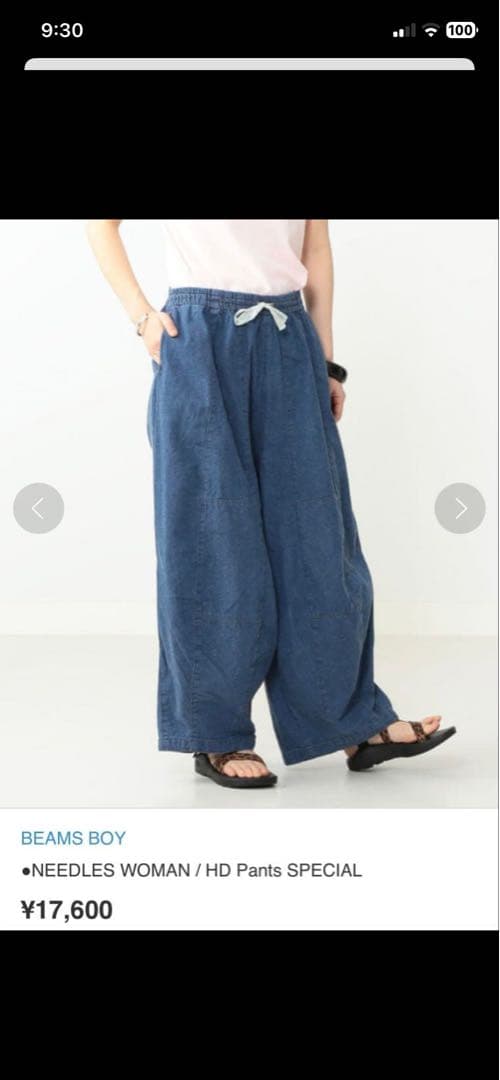 【はやはや☺︎】NEEDLES HD Pants SPECIAL デニム