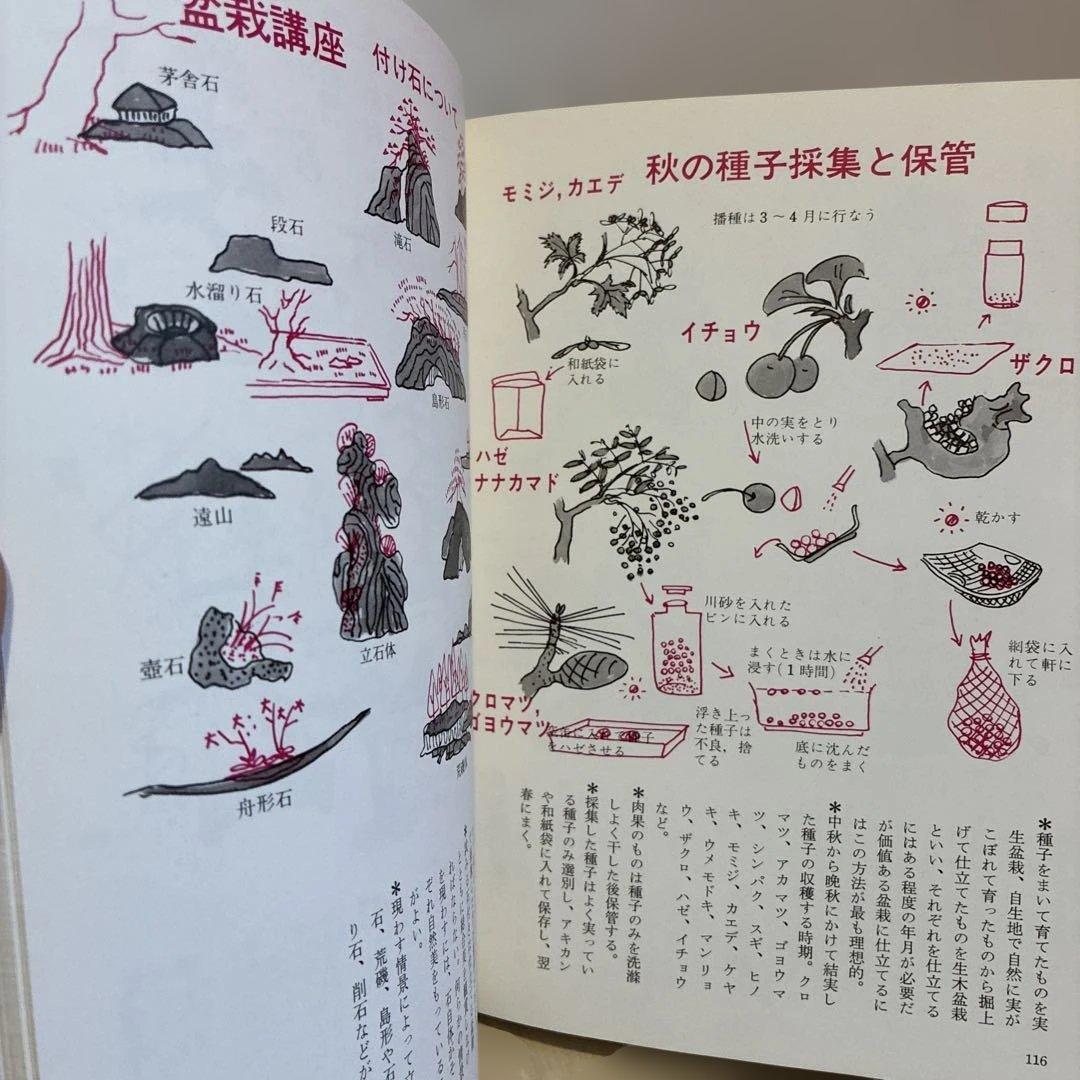 ★希少★ 絵説き 盆栽の手入れ