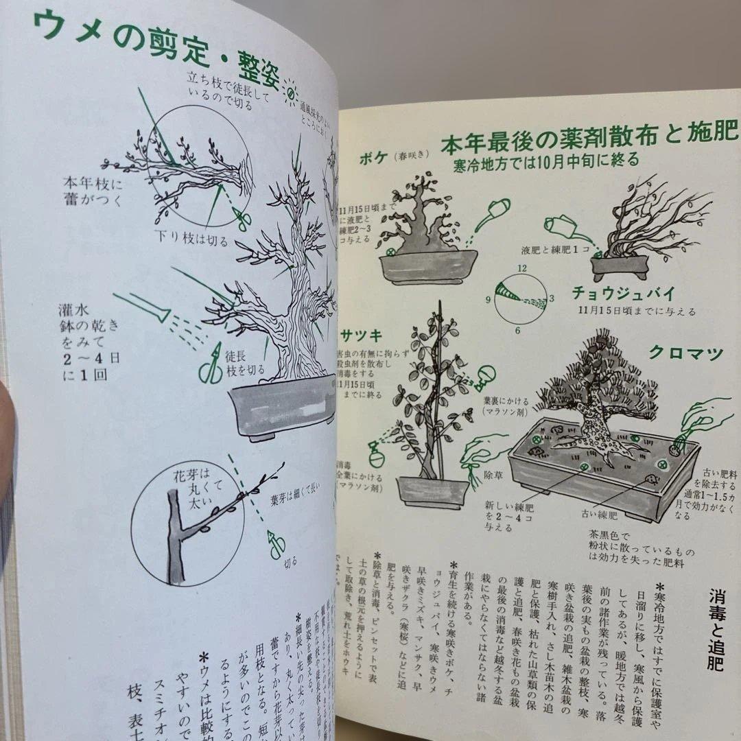 ★希少★ 絵説き 盆栽の手入れ