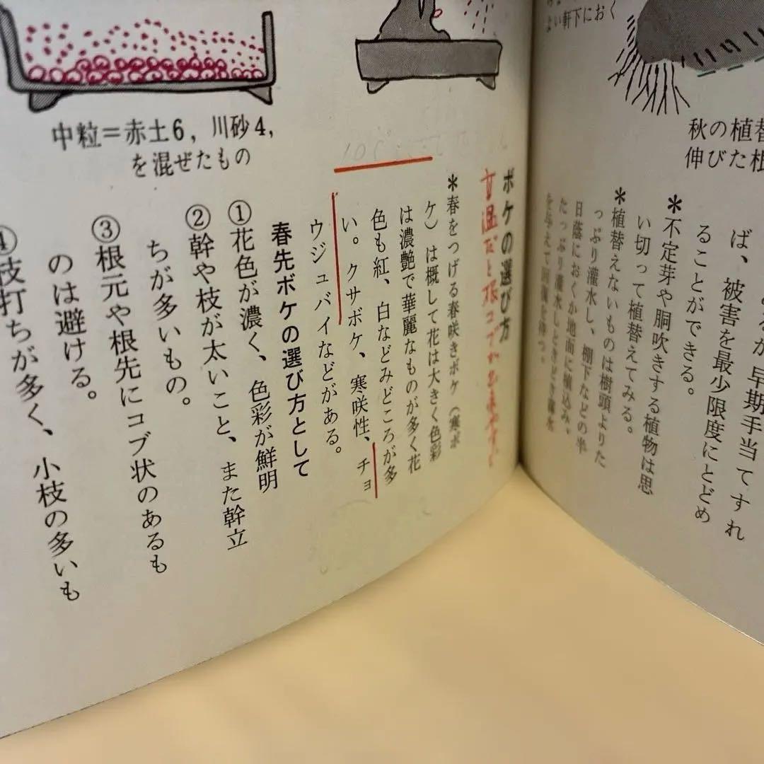 ★希少★ 絵説き 盆栽の手入れ