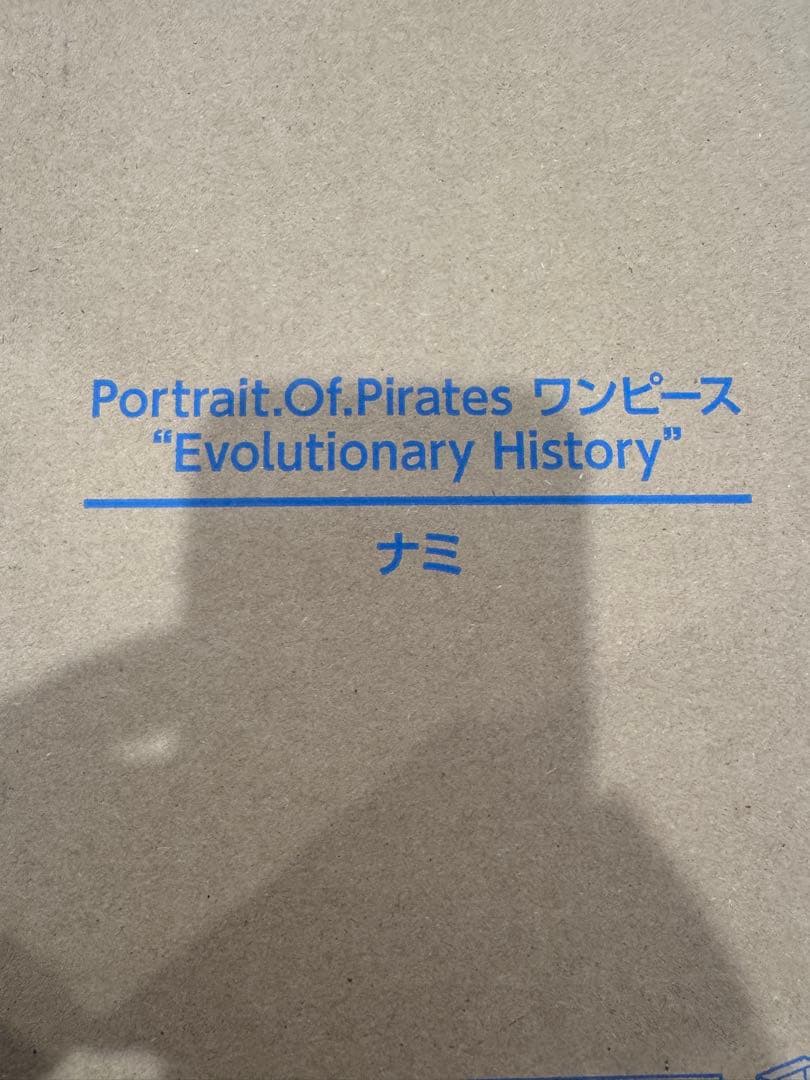 新品未開封　POP ワンピース　ナミ　evolution history