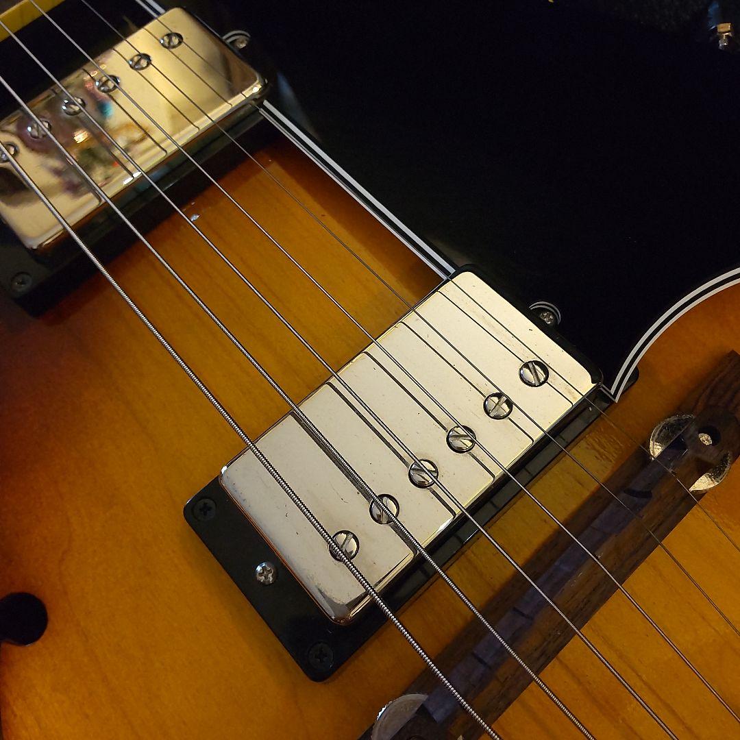 KING SNAKE Curtis H DeepBody 2.67kg 状態良好