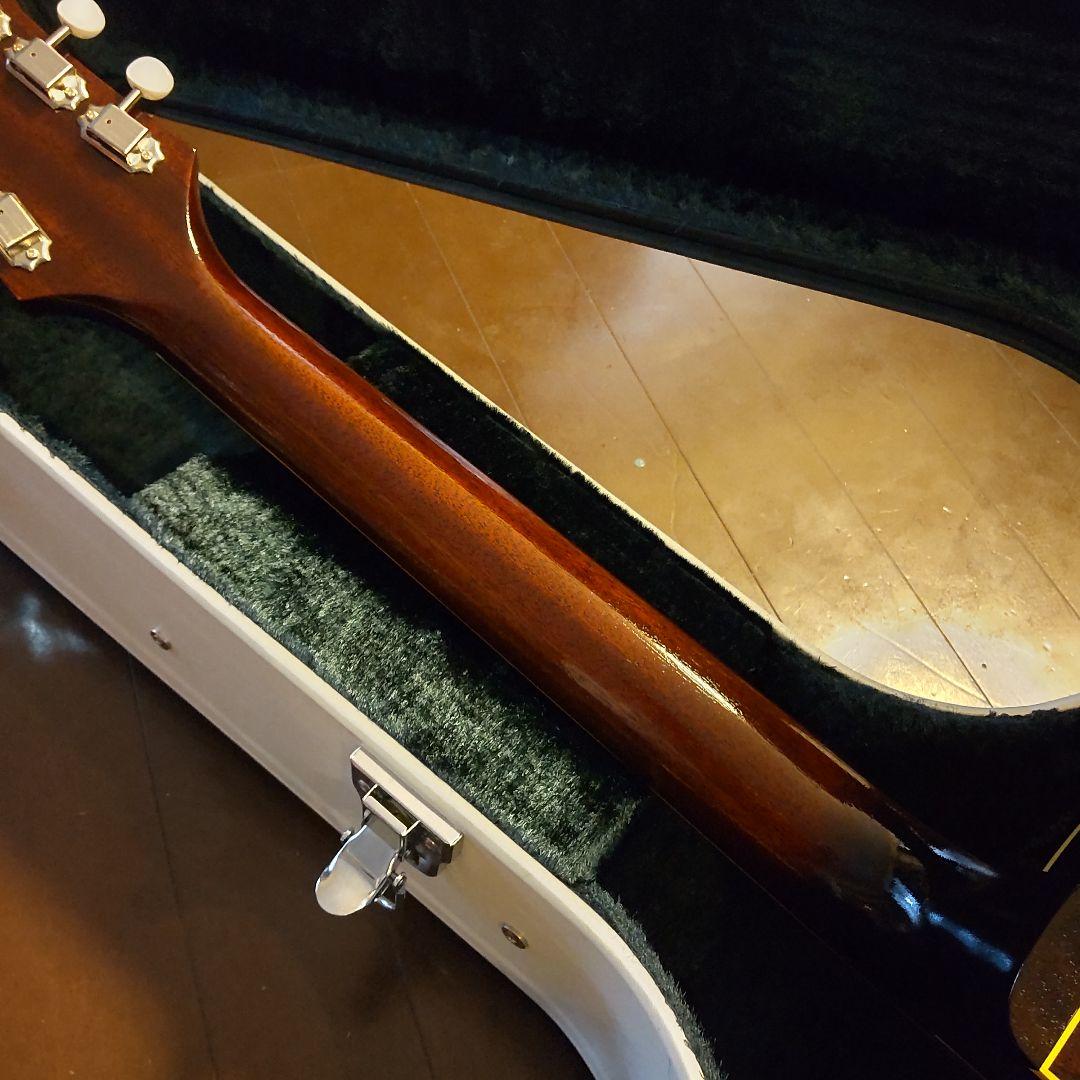 KING SNAKE Curtis H DeepBody 2.67kg 状態良好