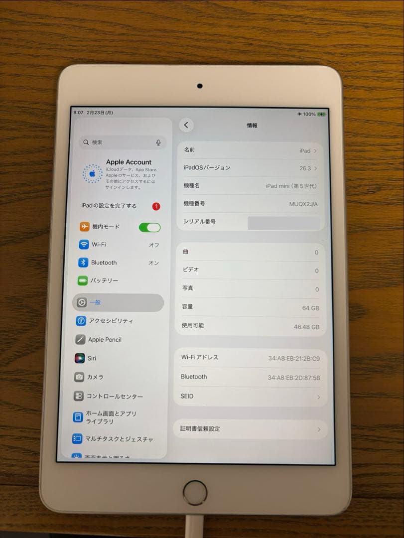 【美品】iPad mini 第5世代 64GB Wi-Fi 充電ケーブル付