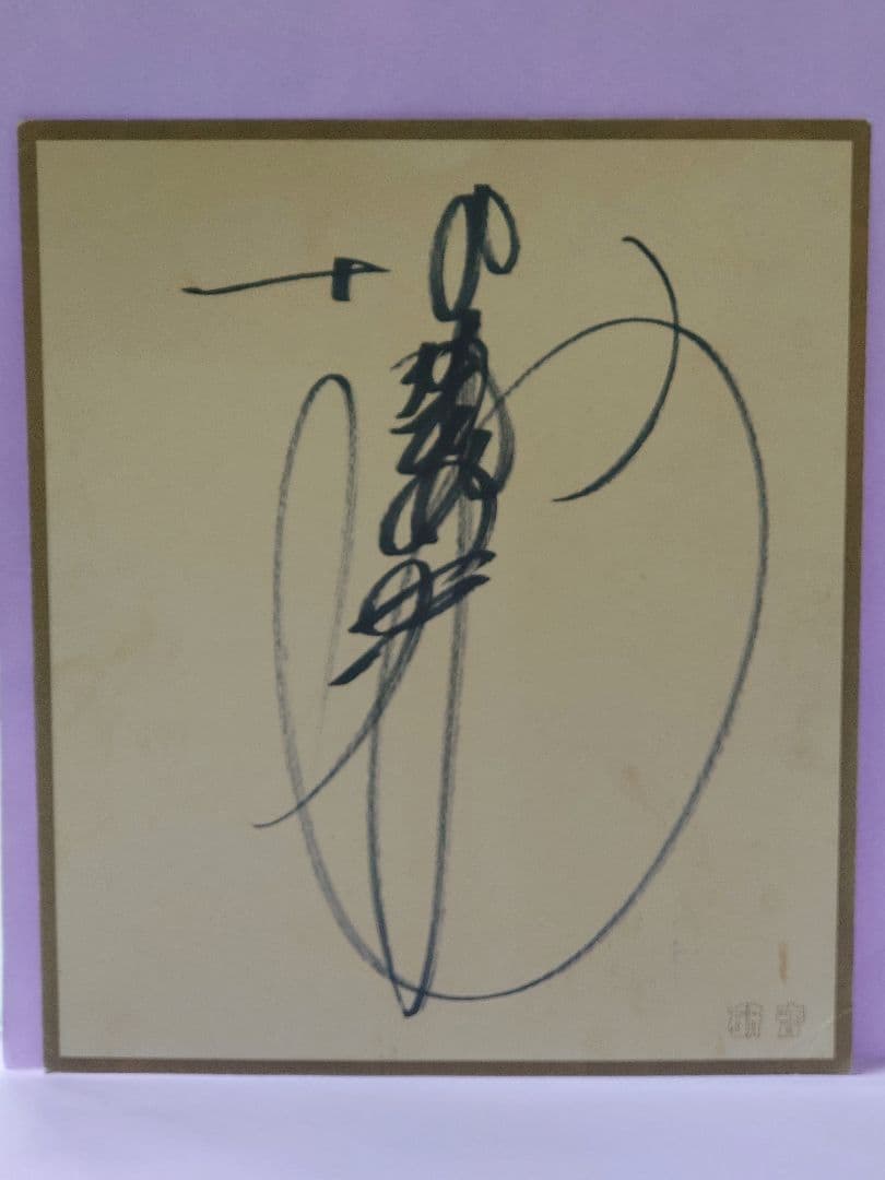 中森明菜 直筆サイン色紙 & 中森明菜 消えた歌姫