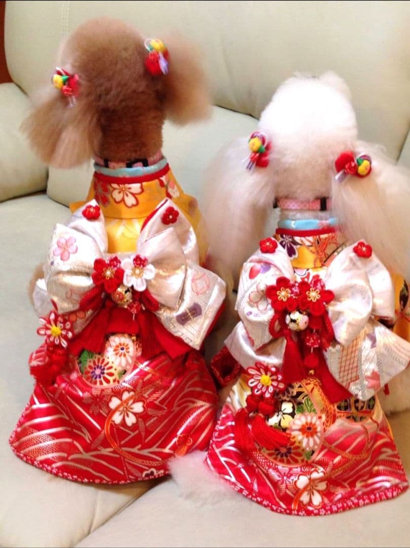 .‎˖٭*花柄水色犬用着物.‎˖٭*