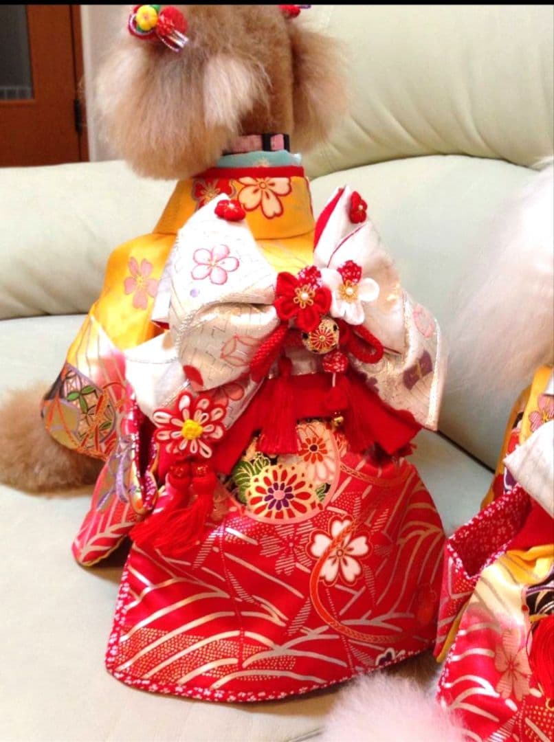 .‎˖٭*花柄水色犬用着物.‎˖٭*