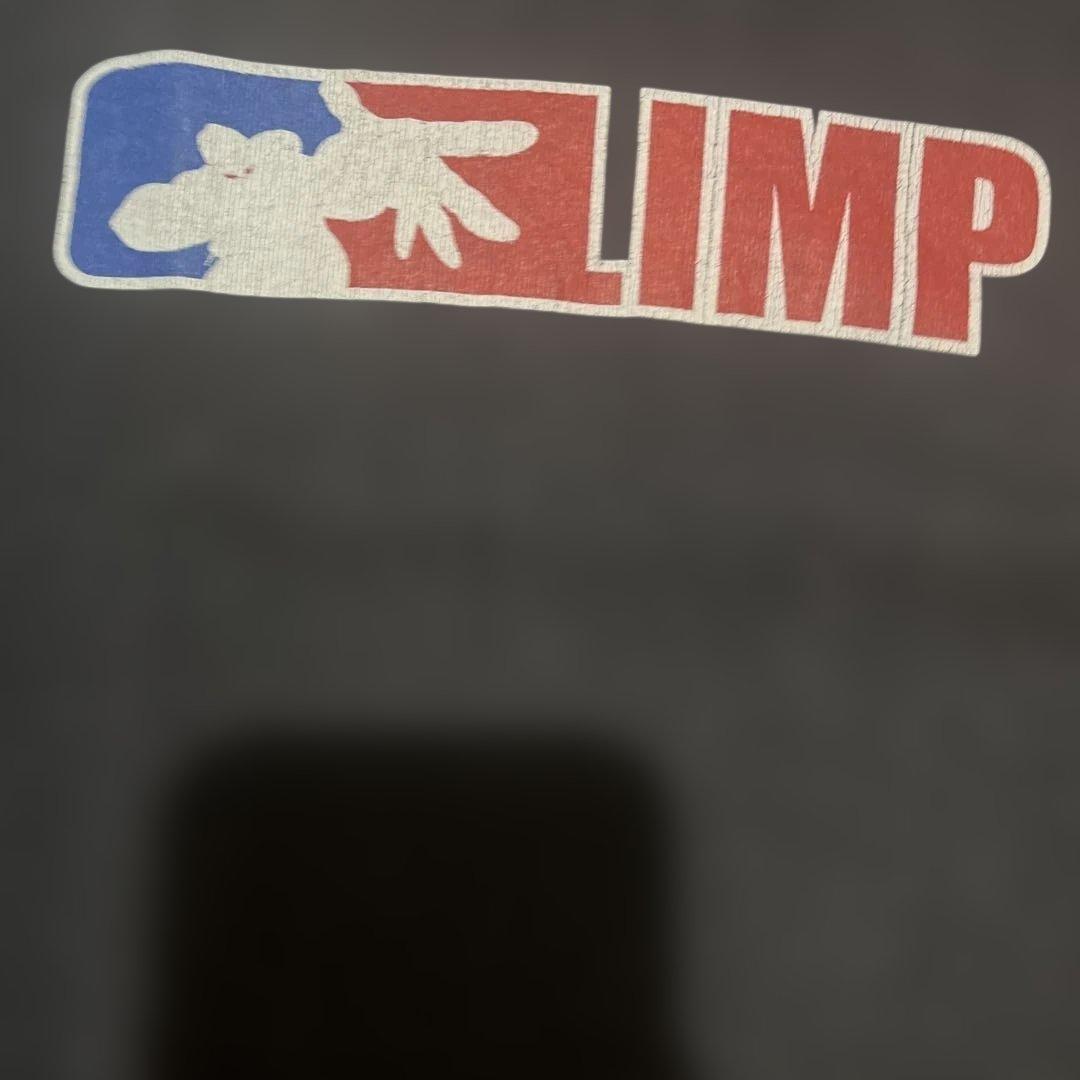 LIMP BIZKIT Tシャツ Mサイズ