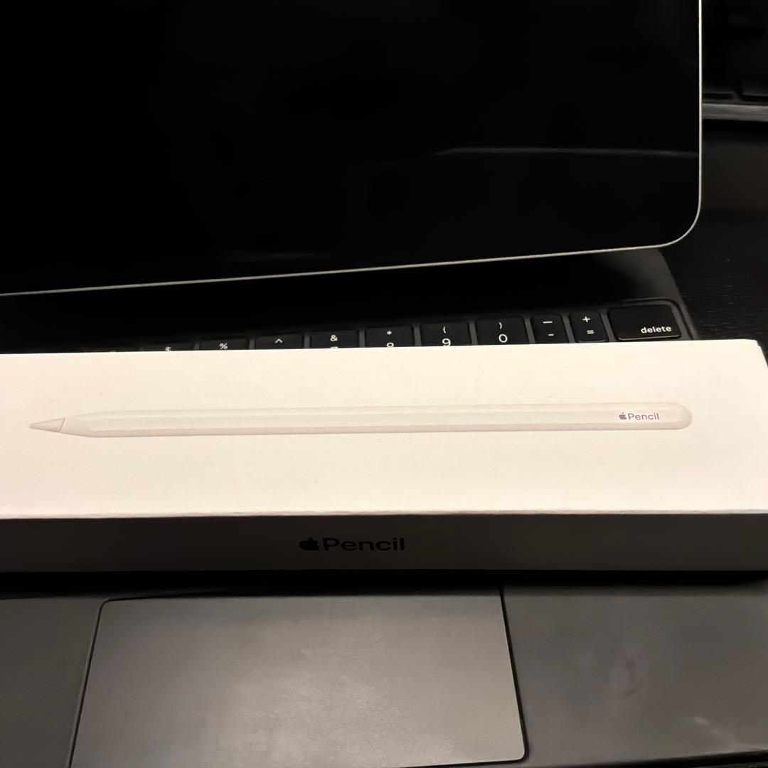 Apple Pencil 第2世代 (刻印なし/箱あり)
