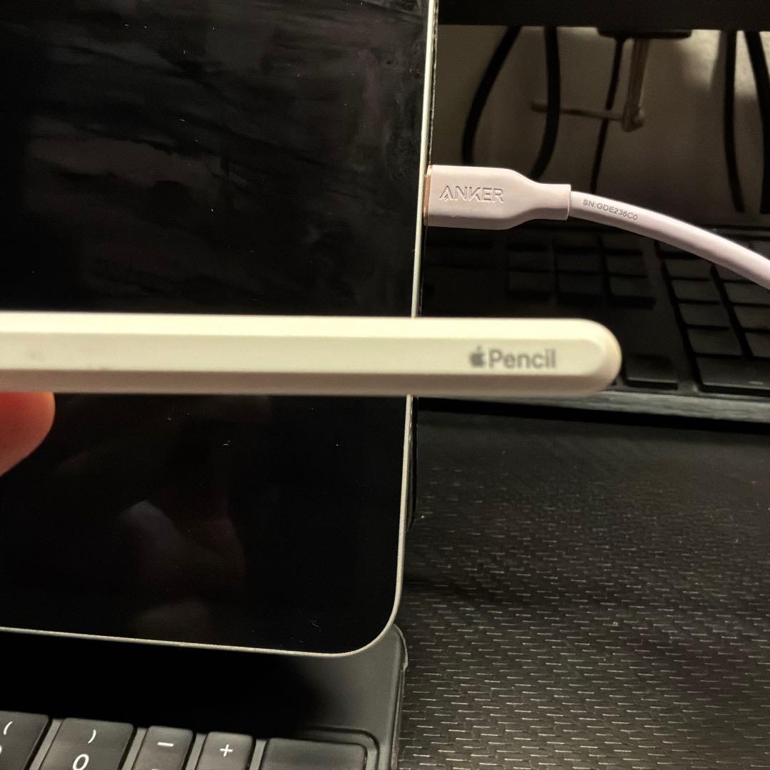 Apple Pencil 第2世代 (刻印なし/箱あり)