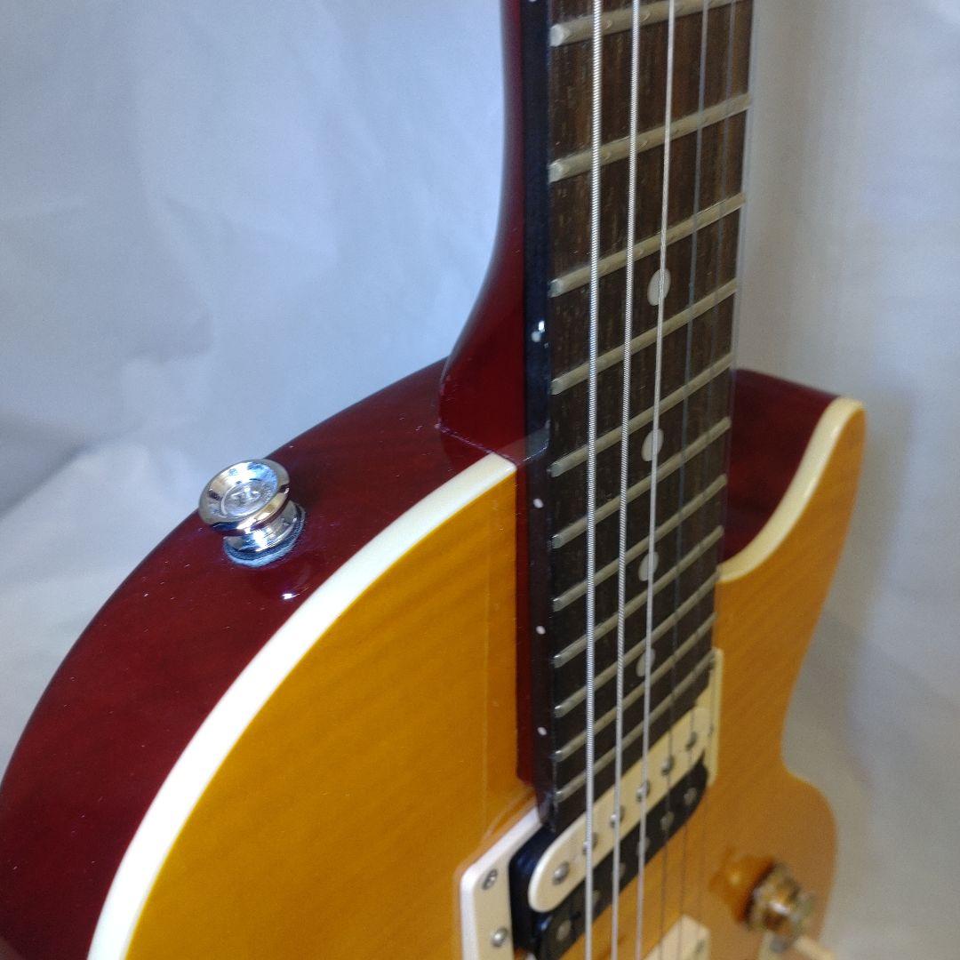 Epiphone Slash \"AFD\" レスポール Special II