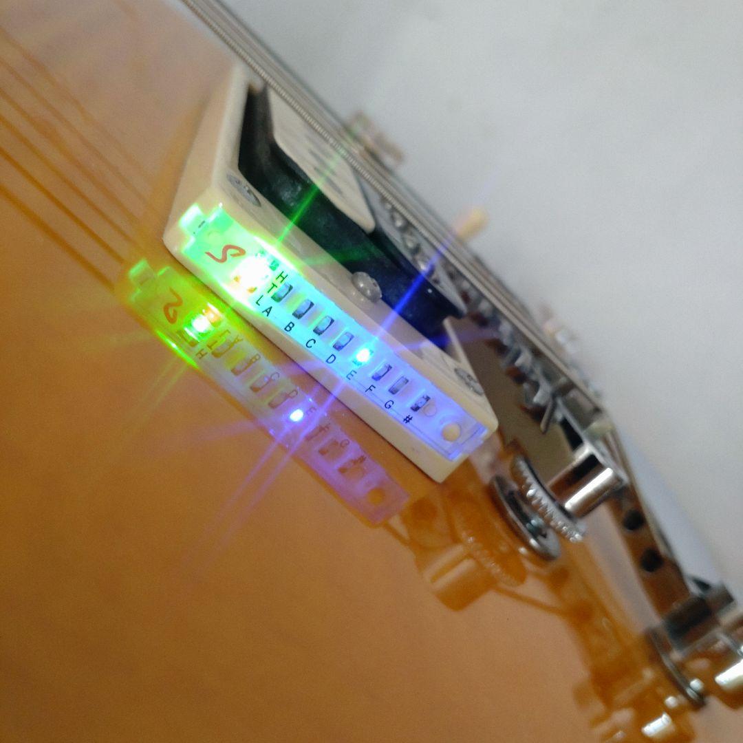 Epiphone Slash \"AFD\" レスポール Special II